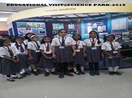 Activity image