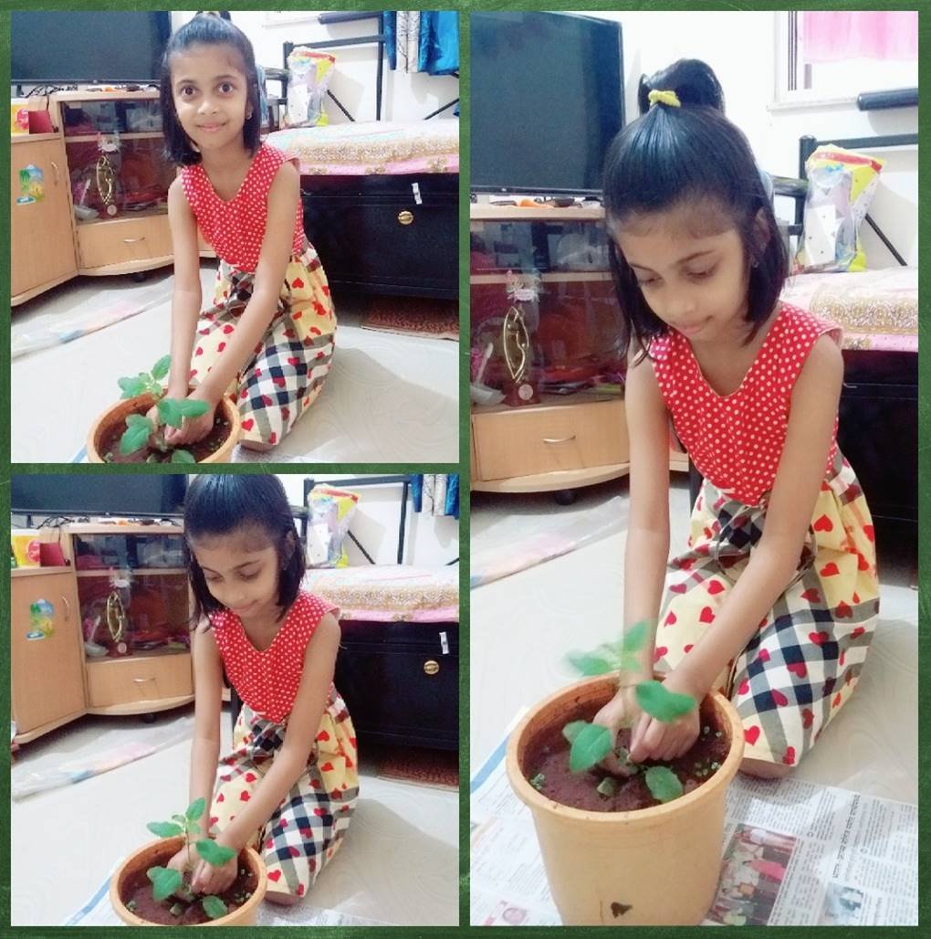 Activity image
