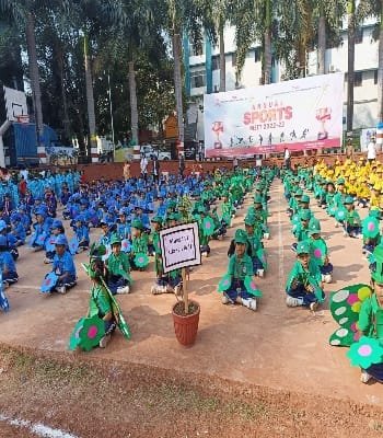Activity image